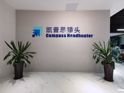 廣東凱普思企業(yè)管理咨詢 賦能企業(yè)，驅(qū)動卓越成長